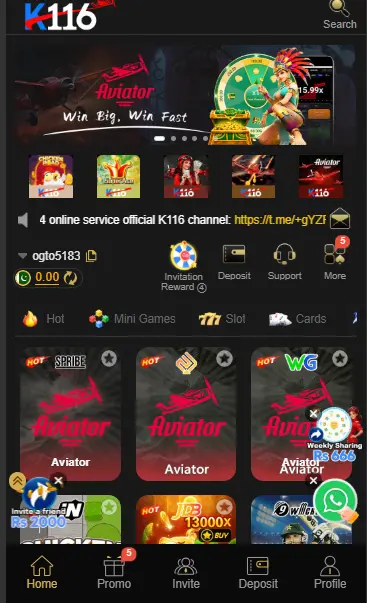 K116 Earning APP